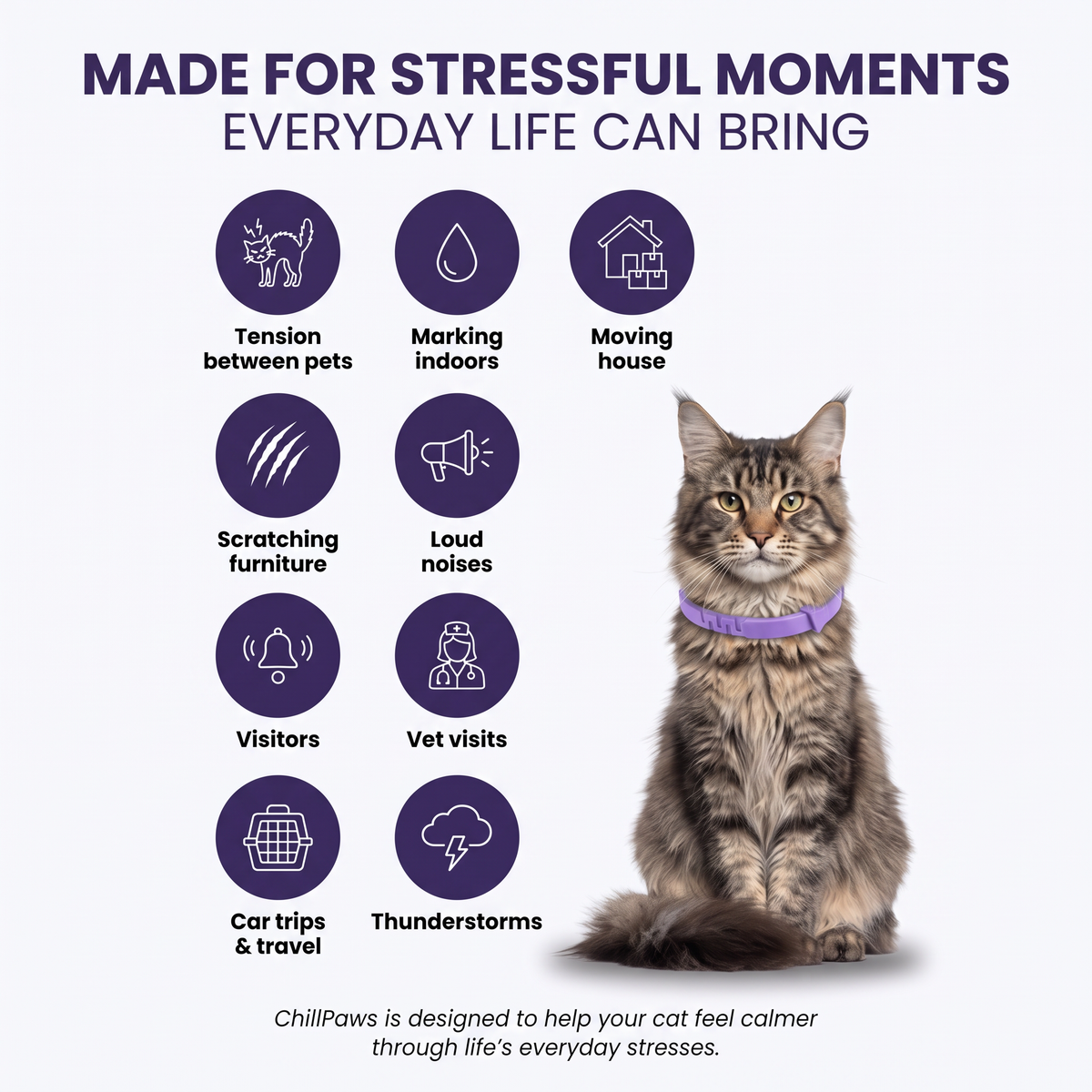 Calming Cat Collar 3 Pack – Adjustable, Fits All Cats UK