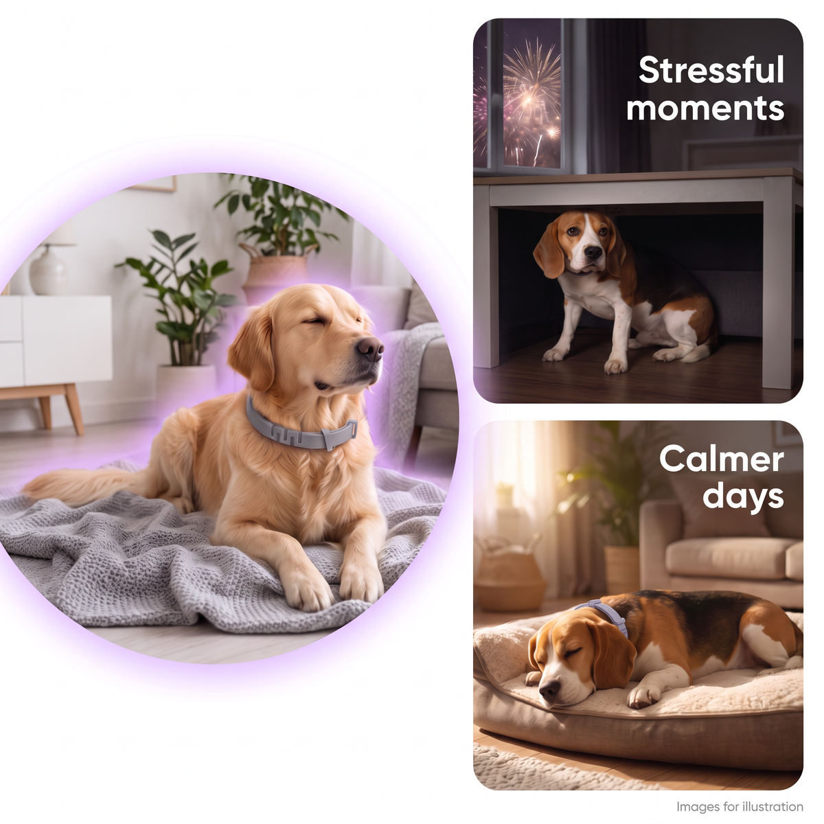 Calming Dog Collar 3 Pack – Adjustable, Fits All Sizes UK